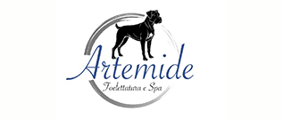 Logo CardWash